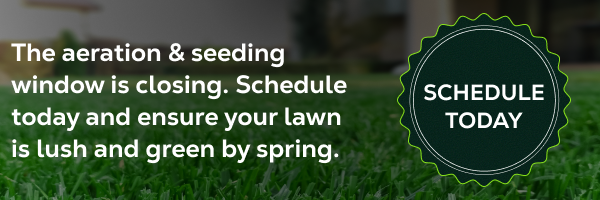Fall Aeration & Seeding from Fairway Green
